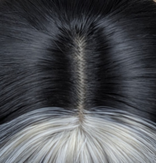 This sleek and dead straight long medium length style comes in a warm black colour. With a money-penny highlight of light grey in the fringe and each side of the face.