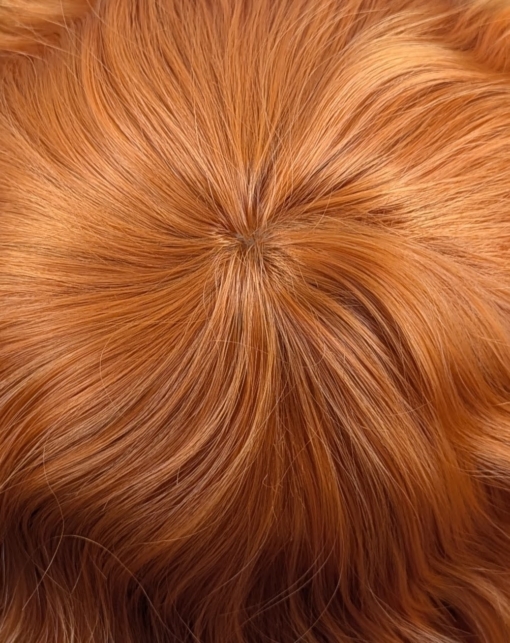 A pixie cut in a ginger colour. Sleek layers on top with a slight textured finish to add some lift and volume. Wear it forward or swept to the side away from the face.